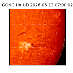 gong - 2026-06-13T07:00:02