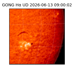 gong - 2026-06-13T09:00:02