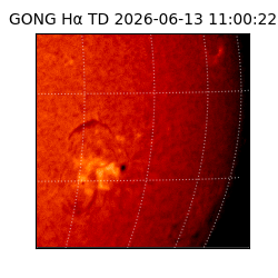 gong - 2026-06-13T11:00:22