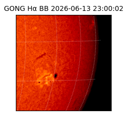 gong - 2026-06-13T23:00:02