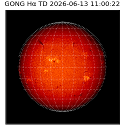 gong - 2026-06-13T11:00:22
