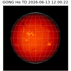 gong - 2026-06-13T12:00:22