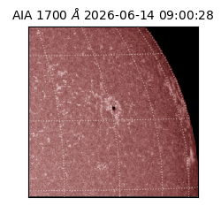 saia - 2026-06-14T09:00:28.716000