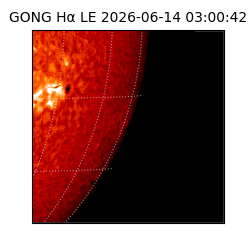 gong - 2026-06-14T03:00:42
