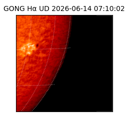 gong - 2026-06-14T07:10:02