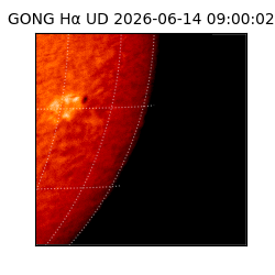 gong - 2026-06-14T09:00:02