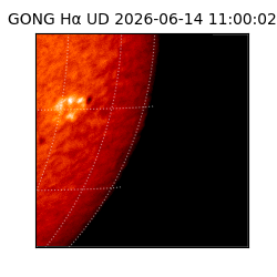 gong - 2026-06-14T11:00:02