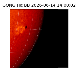 gong - 2026-06-14T14:00:02