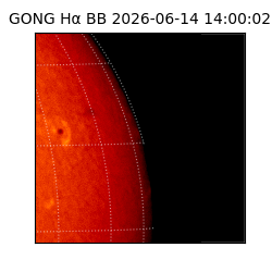 gong - 2026-06-14T14:00:02