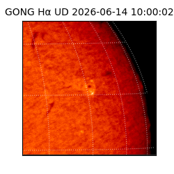 gong - 2026-06-14T10:00:02