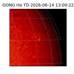 gong - 2026-06-14T13:00:22