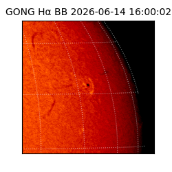 gong - 2026-06-14T16:00:02
