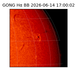 gong - 2026-06-14T17:00:02
