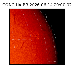 gong - 2026-06-14T20:00:02