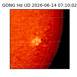 gong - 2026-06-14T07:10:02