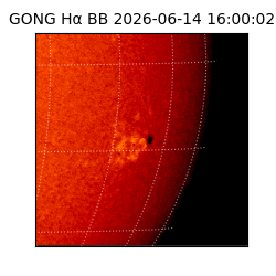 gong - 2026-06-14T16:00:02
