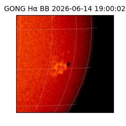 gong - 2026-06-14T19:00:02