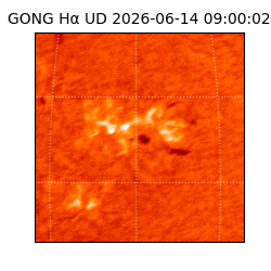 gong - 2026-06-14T09:00:02