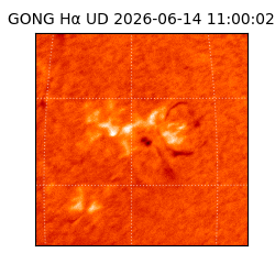 gong - 2026-06-14T11:00:02