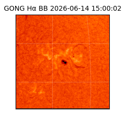 gong - 2026-06-14T15:00:02