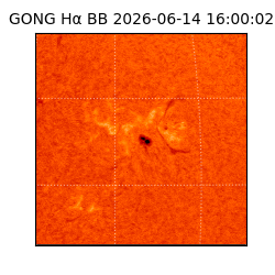 gong - 2026-06-14T16:00:02