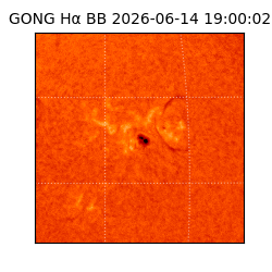 gong - 2026-06-14T19:00:02