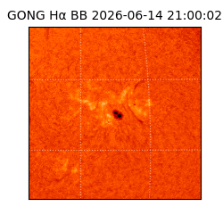 gong - 2026-06-14T21:00:02