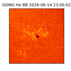 gong - 2026-06-14T23:00:02