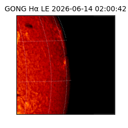 gong - 2026-06-14T02:00:42