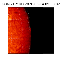 gong - 2026-06-14T09:00:02