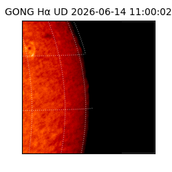gong - 2026-06-14T11:00:02