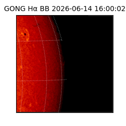 gong - 2026-06-14T16:00:02