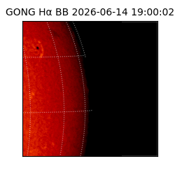 gong - 2026-06-14T19:00:02