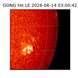 gong - 2026-06-14T03:00:42
