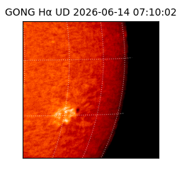 gong - 2026-06-14T07:10:02