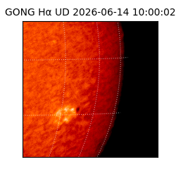 gong - 2026-06-14T10:00:02