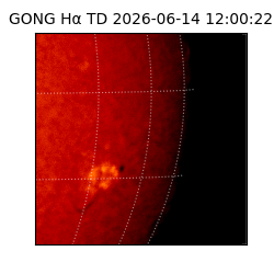 gong - 2026-06-14T12:00:22