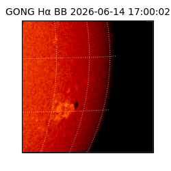 gong - 2026-06-14T17:00:02