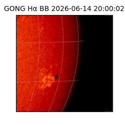 gong - 2026-06-14T20:00:02