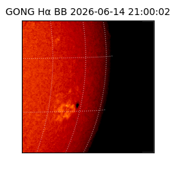 gong - 2026-06-14T21:00:02