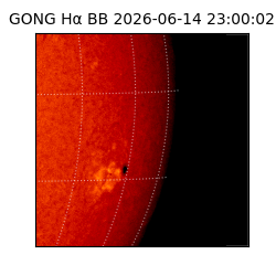 gong - 2026-06-14T23:00:02