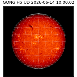 gong - 2026-06-14T10:00:02