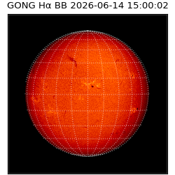gong - 2026-06-14T15:00:02