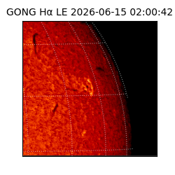 gong - 2026-06-15T02:00:42