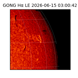 gong - 2026-06-15T03:00:42