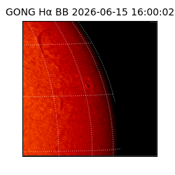 gong - 2026-06-15T16:00:02