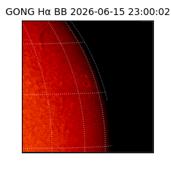gong - 2026-06-15T23:00:02