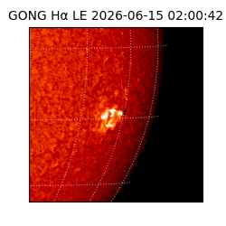 gong - 2026-06-15T02:00:42