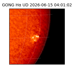 gong - 2026-06-15T04:01:02