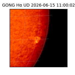 gong - 2026-06-15T11:00:02